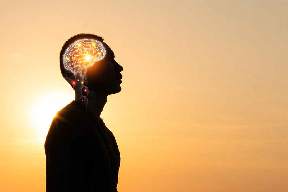 lo_que_no_sabias_de_tu_cerebro